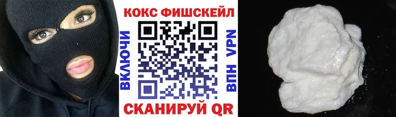 Cocaine FishScale  сколько стоит  Велиж 