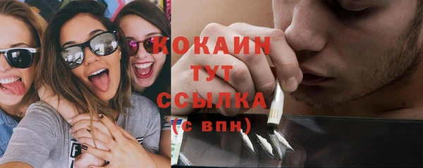 шишки Сафоново