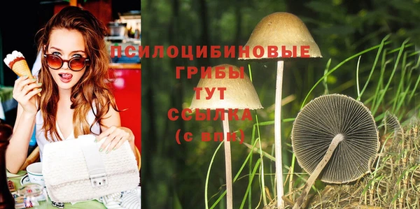 mdpv Арсеньев