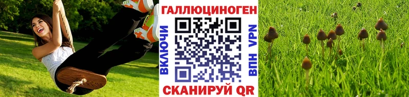 наркота Велиж Галлюциногенные грибы Cubensis